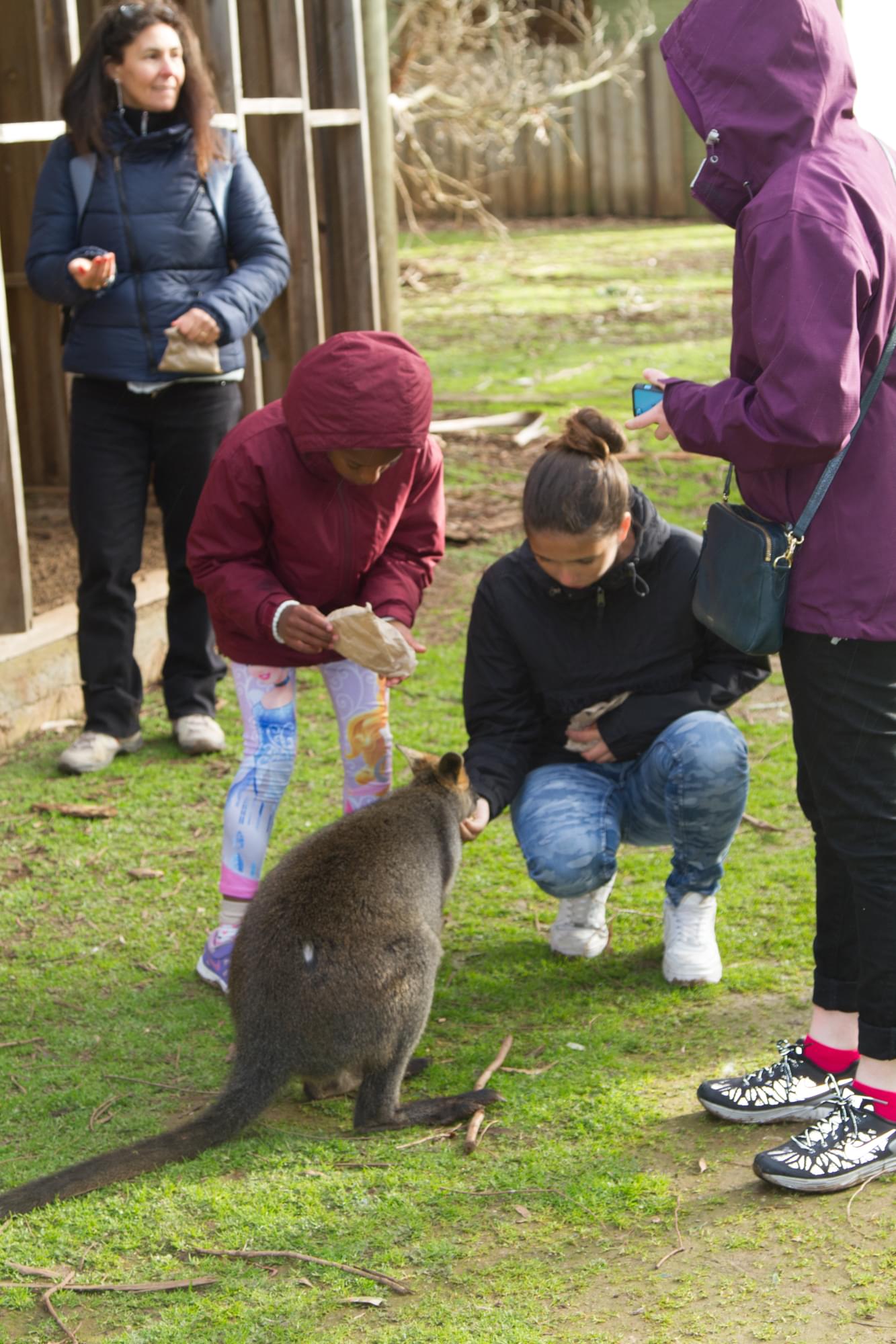 18_20150803   AUS 041   Melbourne_